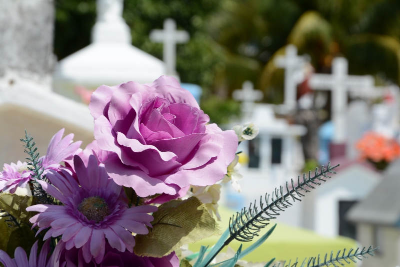 funeraire-ST CYR SUR MER-min_cementerio-948048